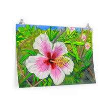 Load image into Gallery viewer, Pink and White Hibiscus, Big Island, Hawaii 2018 - Premium Matte horizontal posters