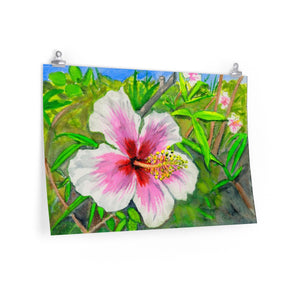 Pink and White Hibiscus, Big Island, Hawaii 2018 - Premium Matte horizontal posters