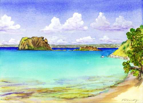 Creole Rock at Petit Plage, 2003 Grand Case, Saint Martin, Original Art Painting 10x14 inches Watercolor