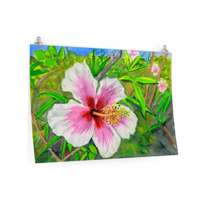 Pink and White Hibiscus, Big Island, Hawaii 2018 - Premium Matte horizontal posters