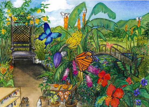 Butterfly Farm, Saint Martin 2004 - Horizontal Framed Premium Gallery Wrap Canvas