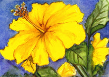 Load image into Gallery viewer, Yellow Hibiscus, Maui, Hawaii 2017 - Horizontal Framed Premium Gallery Wrap Canvas